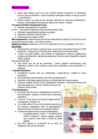 Microbiologia.pdf