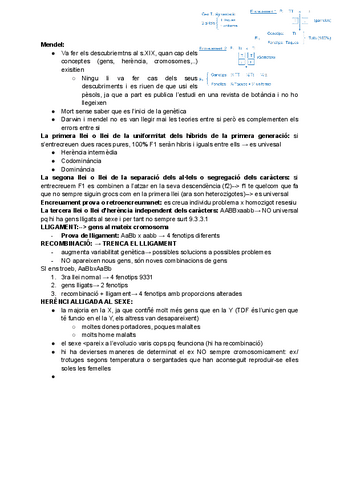 Genetica-mendeliana.pdf