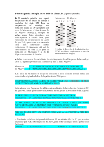 2º parcial L1A.pdf