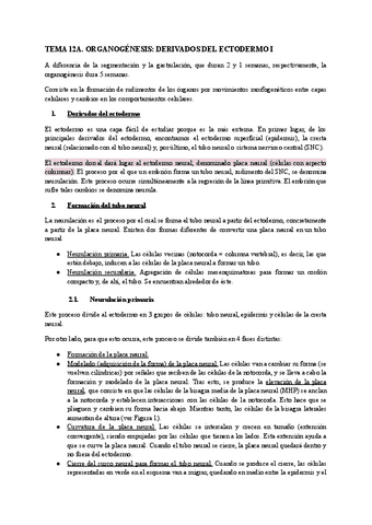 Apuntes-Bloque-2.pdf