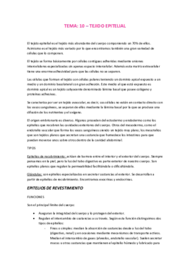 Tema 10 Epitelios.pdf