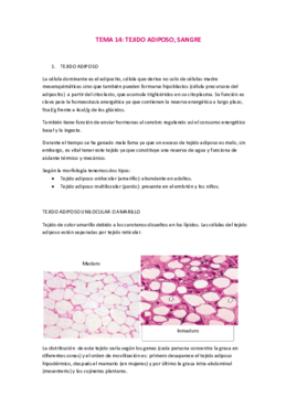 Tema 14 Tejido adiposo y sangre.pdf