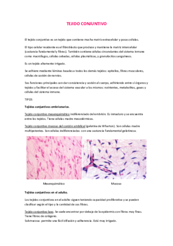 Tema 11 Tejido Conjuntivo.pdf