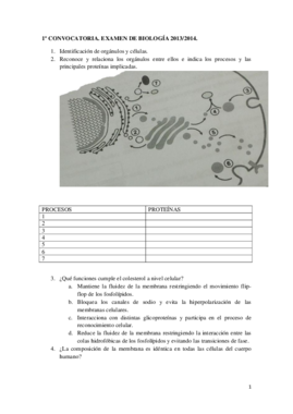 Examen de Biologia.pdf