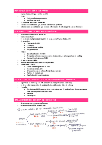 PREGUNTAS-CORTAS.pdf