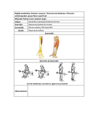15Palmar-menor.pdf