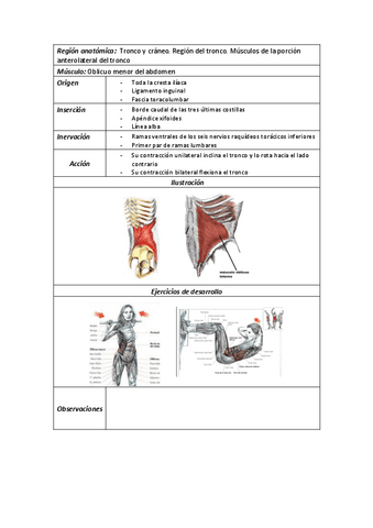 24Oblicuo-menor-del-abdomen.pdf