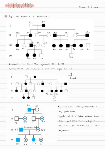 Ejercicios-genetica-todos-1.pdf
