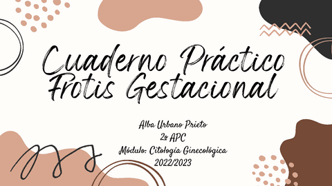 Cuaderno-Practico-Frotis-Gestacional.pdf