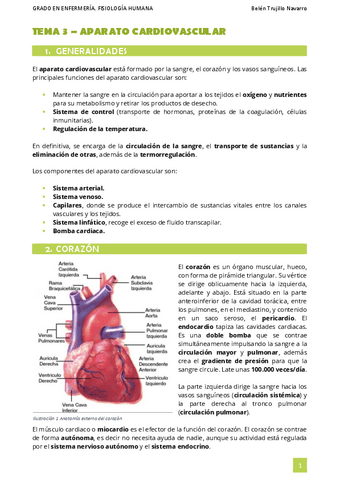 FISIO-Tema3-Cardiovascular.pdf