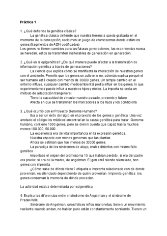 Practica-1.pdf