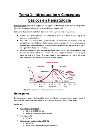 Tema-1-Introduccion.pdf