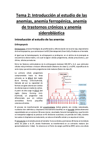 Tema-2-Anemias-ferropenicas-ATC-y-sideroblasticas.pdf