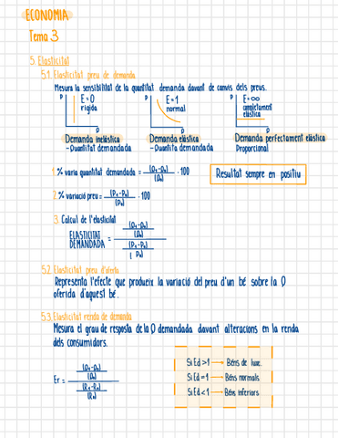 Elasticitat.pdf