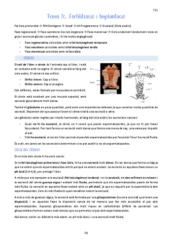 Tema-7c.-Fertilitzacio-i-Implantacio.pdf
