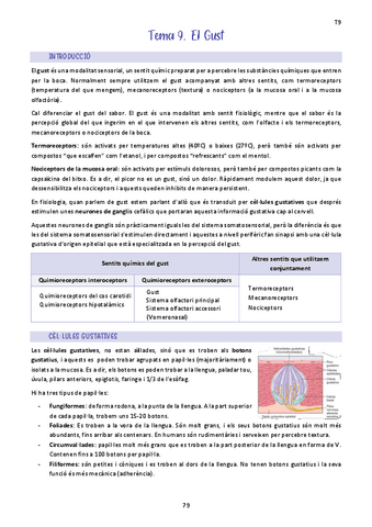 Tema-9.-El-Gust.pdf
