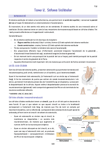 Tema-12.-Sistema-Vestibular.pdf