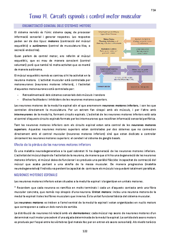 Tema-14.-Circuits-espinals-i-control-motor-muscular.pdf