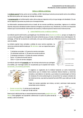 TEMA-3-PSICOBIOLOGIA-II.pdf