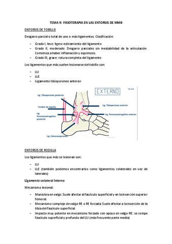 T9-ENTORSIS.pdf