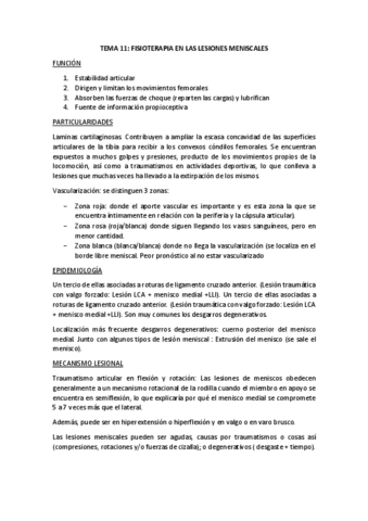 T11-MENISCOS.pdf
