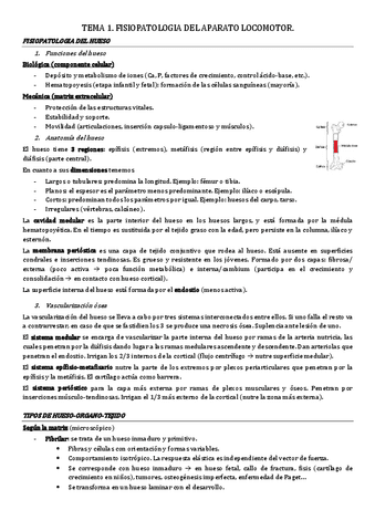 tema-1.-fisiopatologia-ap-locomotor.pdf