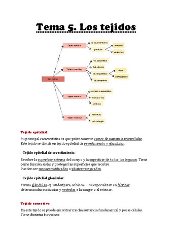 Tema-5-Imagen-Corporal-y-Habitos-Saludables.pdf