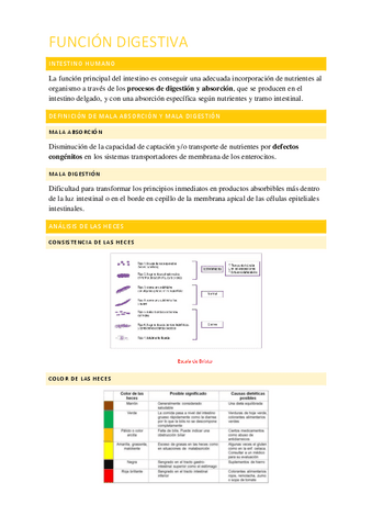 FUNCIÓN DIGESTIVA.pdf