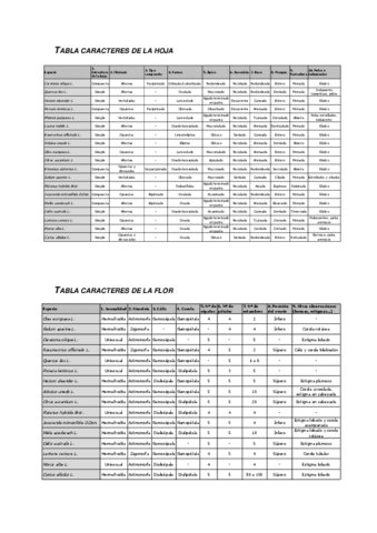 Practica-botanica-Caracteres-de-la-hoja-y-la-flor-Clave-dicotomica.pdf