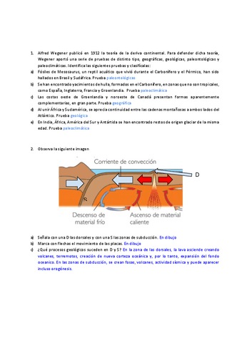 1.-Ficha-Tierra.pdf