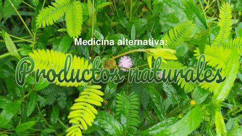 Act.-2-Terapias-alternativas.pdf