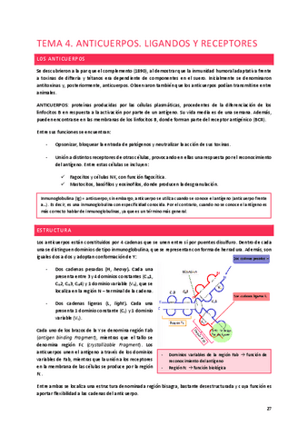 Tema-4.-Los-anticuerpos-y-sus-receptores.pdf