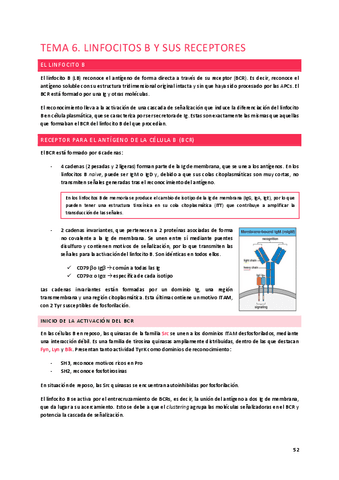 Tema-6.-Linfocitos-B-y-sus-receptores.pdf