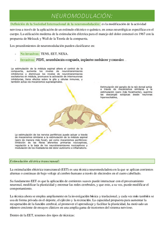 Neuromodulacion.pdf