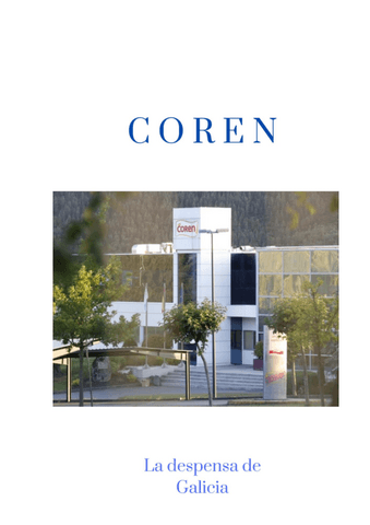 APLICACION-PRACTICA-COREN.pdf