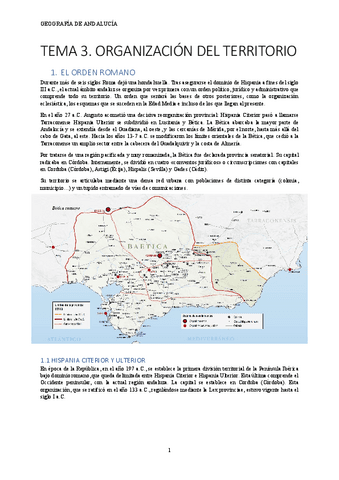 TEMA-3-ORGANIZACION-DEL-TERRITORIO.pdf