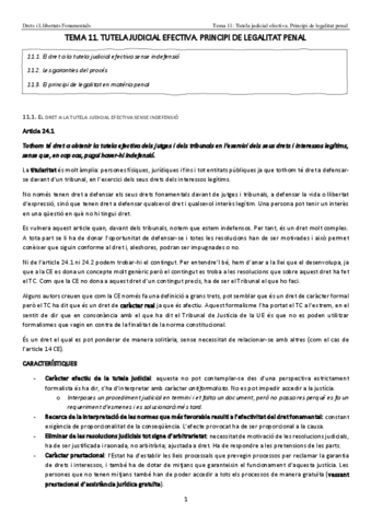 TEMA-11-ddff.pdf