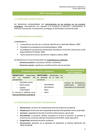Apuntes-Salud-Mental-II.pdf