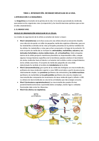 Temario Bioquimica.pdf