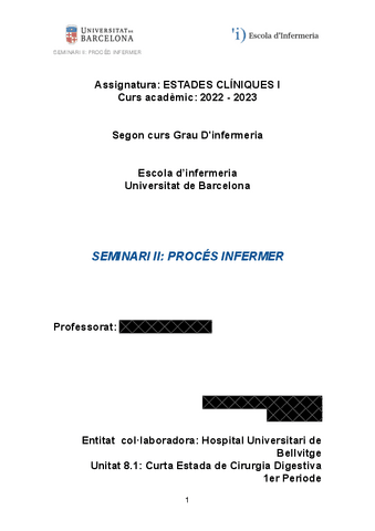 SEMINARI-II-PROCES-INFERMER..pdf