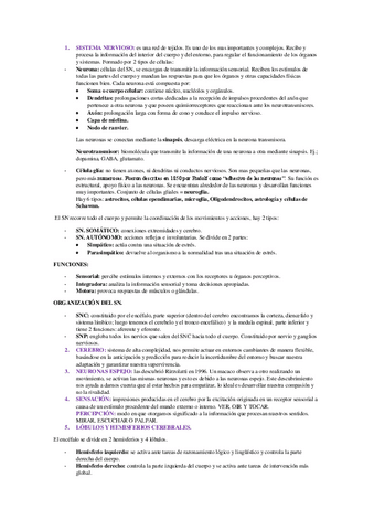 SISTEMA-NERVIOSO-TEMA-2.pdf