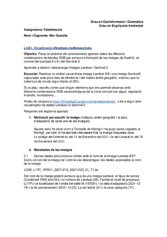 LAB-1.-Visualitzacio-i-interpretacio-dimatges-de-satel.lit-en-loptic.-Eines-de-treball.pdf