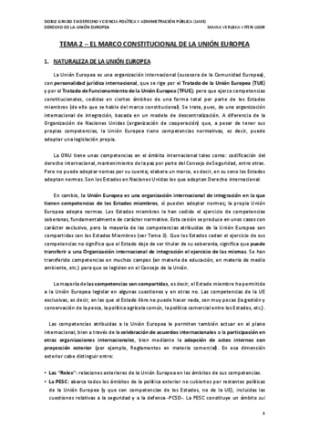 TEMA-2-DUE.pdf