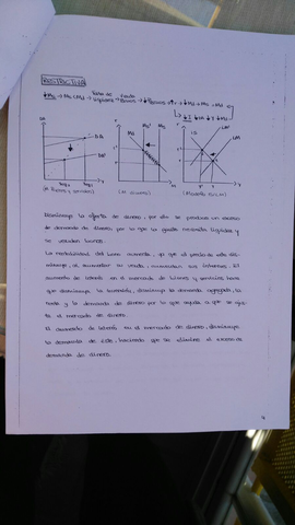 WhatsApp Image 2017-12-03 at 14.07.33.jpeg