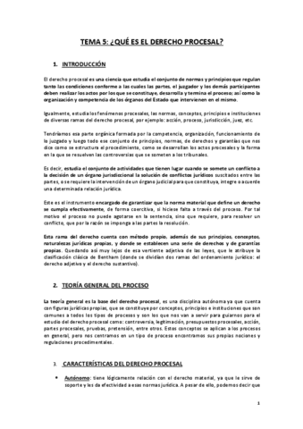 TEMA-5-DPC.pdf