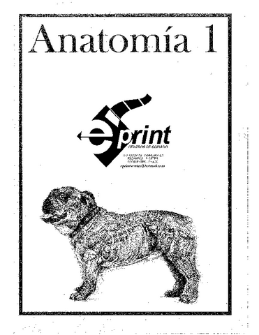 ANATOMIA-I-X-TEMAS.pdf