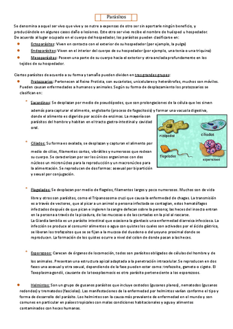 Parasitos-practico.pdf