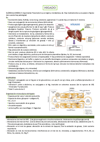 Patologias-del-higado.pdf