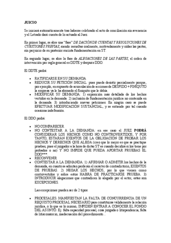 apuntes-juicio.pdf