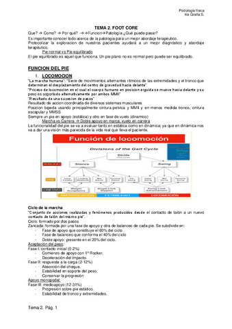 TEMA-3.-FUNCION-DEL-PIE.pdf